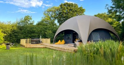 entrepreneur vs. investor