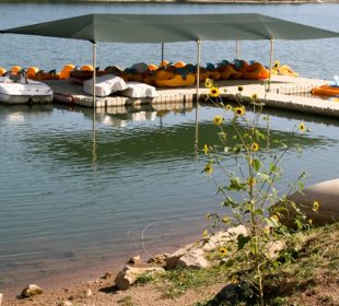 Boat Rental Business