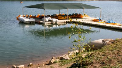 Boat Rental Business